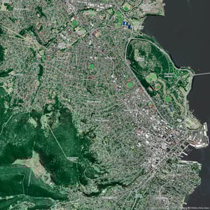 Vegetation_30cm_Hobart_No_Height_1000px